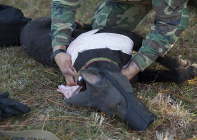 Robot dog improves SOF medical practices