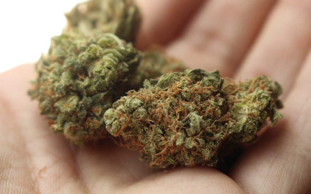 The VA May Soon Be Forced Into Medical Marijuana Research. Finally